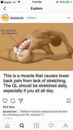 The quadratus lumburum muscle, which causes lower back pain, should be stretched daily especially if you sit all day. #health #exercise #stretching Bolesti Chrbta, Yoga Iyengar, Practice Yoga, Back Pain Exercises, Lower Back Pain, Stretching Exercises, Yoga Training, Vinyasa Yoga, Pilates Reformer