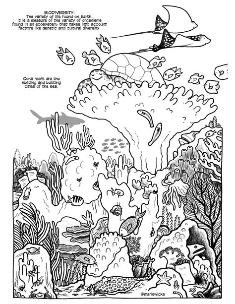 Corals Coloring Pages — Maris Wicks Coral Reef Coloring Pages, Coral Reef Color, Barrier Reef Australia, Sketch Notes, Coloring Pages Printable, Page Ideas, Surf Art, Cute Coloring Pages, Classic Cartoons