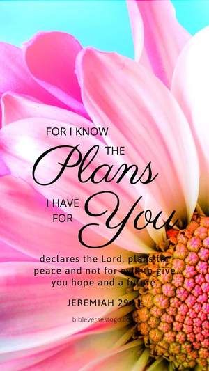 Flower Bible Verse, Childlike Faith, Verse Wallpaper, Bible Verses For Women, Happy Sabbath, Bible Quotes Wallpaper, Favorite Scriptures, Gods Love Quotes, Beautiful Bible Verses