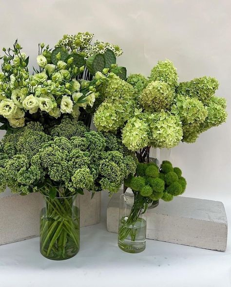 Bridal Shower Floral Arrangements, Chartreuse Flowers, Green Hydrangea Bouquet, Green Hydrangea Wedding, Hydrangea Bouquet Wedding, Green Bouquet, Wedding Reception Flowers, Hydrangea Bouquet, Hydrangeas Wedding