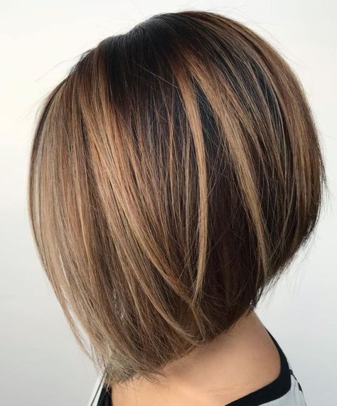 Partial Bronde Balayage for Brunette Bob Dark Hair Bobs, Fav Hairstyles, Highlights For Dark Brown Hair, Line Bob Haircut, 60 Hairstyles, Trendy Bob Hairstyles, Brunette Bob, Short Brown Hair, Medium Hairstyles