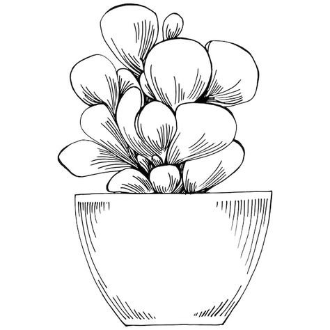 Flower Pots Sketch, Pot Drawing Design, Plant Reference Drawing, Flower In Pot Drawing, Plant In Pot Drawing, Indoor Plants Drawing, Flower Pot Design Drawing, Pot Plant Drawing, Outline Drawings Aesthetic