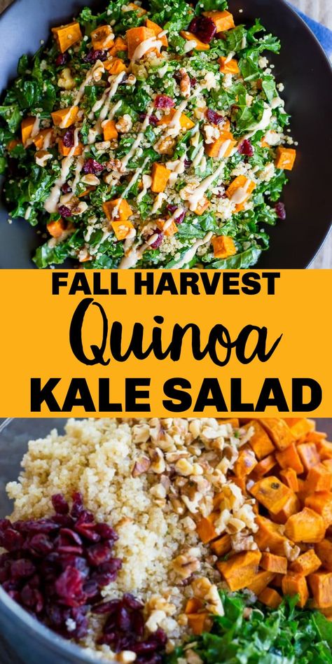 Quinoa Salad Tahini Dressing, Fall Quinoa Salad Sweet Potato, Fall Salad Vegetarian, Sweet Potato Fall Salad, Fall Vegan Salad Recipes, Fall Harvest Salad With Maple Tahini Dressing, Quinoa Salad With Tahini Dressing, Gluten Free Thanksgiving Salad, Fall Salad Quinoa