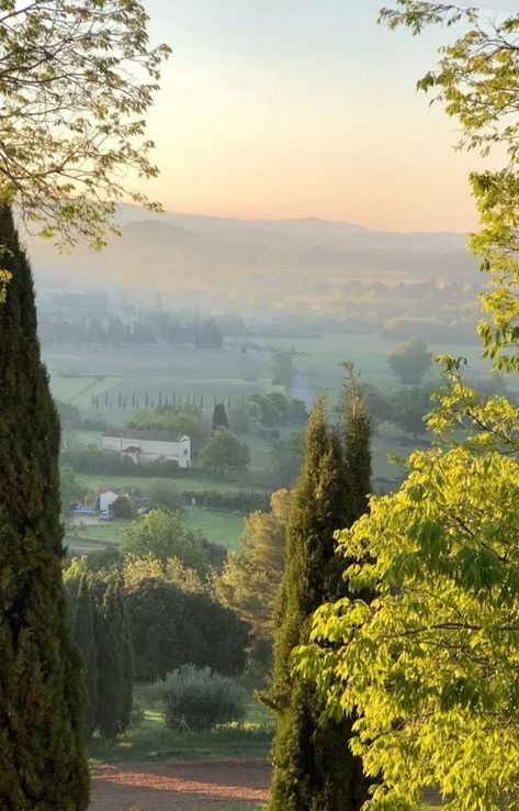 the august box is... summer living in provence! - MY FRENCH COUNTRY HOME French Athestic, France Provence, French Provence, Country France, French Coast Aesthetic, Provence Summer, French Vacation Aesthetic, Country Side France, French Country Side Aesthetic