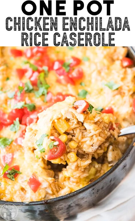 One Pot Chicken Enchilada, One Pot Enchilada, Chicken Enchilada Rice Casserole, Shredded Chicken Dishes, Enchilada Rice Casserole, Chicken Enchilada Sauce, Chicken Enchilada Rice, Shredded Chicken Casserole, Enchilada Rice