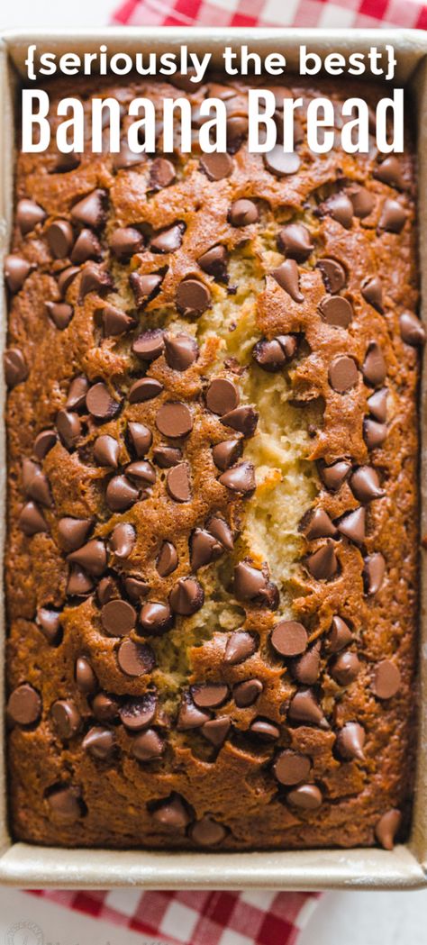 Banana Chocolate Chip Bread, Over Ripe Bananas, Chocolate Chip Banana Bread Recipe, Pudding Chia, The Best Banana Bread, Chocolate Chip Bread, Chocolate Chip Banana, Best Banana Bread, Chocolate Chip Banana Bread