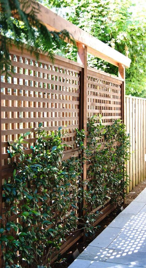 28 Cheap DIY Garden Privacy Screen Ideas To Keep Neighbors From Snooping Nature, Country Life, Natural Garden, The Great Outdoors, Privacy Ideas, Fence Ideas, Cozy Cabin, Beautiful Garden, Country Living