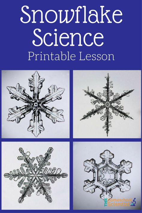 Perfect supplement for Chemistry and Physics. Free Snowflake Science Printable lesson Snowflake Bentley Activities Free, Snowflake Bentley Activities, Snowflake Science, Snowflakes Science, Winter Science Experiments, Snowflake Bentley, Science Printables, Snow Crafts, Winter Science