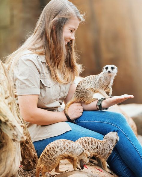 Jobs With Animals, Zoo Veterinarian, Job Aesthetic, Vet Life, Irwin Family, Crocodile Hunter, Bindi Irwin, Wildlife Biologist, Animals Lover