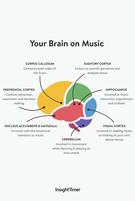 Brain On Music, Dancing Around The Kitchen, Music Infographic, Music And The Brain, Insight Timer, Music Theory Lessons, Piano Music Lessons, Music Therapist, Full Workout