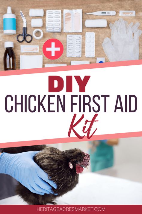 Chicken Emergency Kit, Chicken Facts, Poultry Farming, Chicken Care, Healty Dinner, Chicken Feeders, Homestead Ideas, Backyard Chicken Farming, Homestead Farm