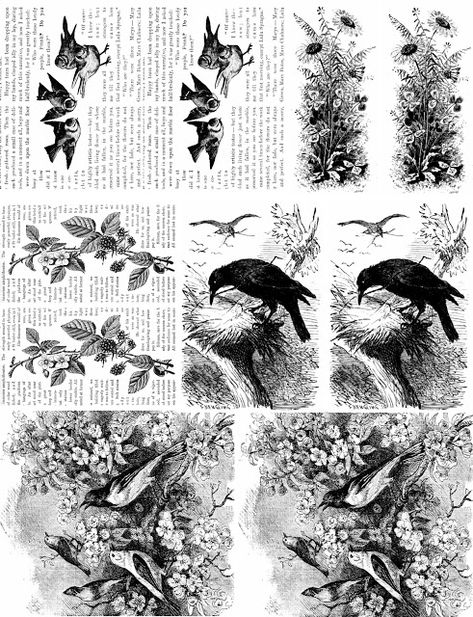 Imagesbykim: Free Bee Friday! - Digital Collage Sheet - Black and white vintage book pages birds flowers Vintage Printables Black And White, Scrapbook Printables Black And White, Phomemo Printables Black And White, Journal Printables Stickers Aesthetic Black And White, Black And White Printables Free, Aesthetic Stickers Printable Vintage Black And White, Black And White Ephemera Free Printables, Scrapbook Stickers Printable Black And White, Scrapbook Stickers Printable Black