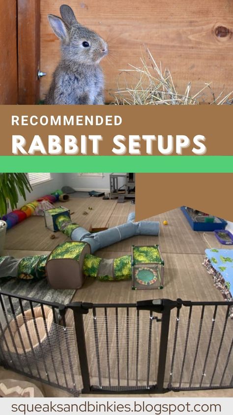 Rabbit Shed Ideas Diy, Outdoor Rabbit Toys, Large Rabbit Enclosure, Free Roaming Rabbit Ideas, Rabbit Enclosures Indoor, Pet Rabbit Enclosure, Indoor Rabbit Setup Diy, Bunny Inside House, Bunny Area Ideas