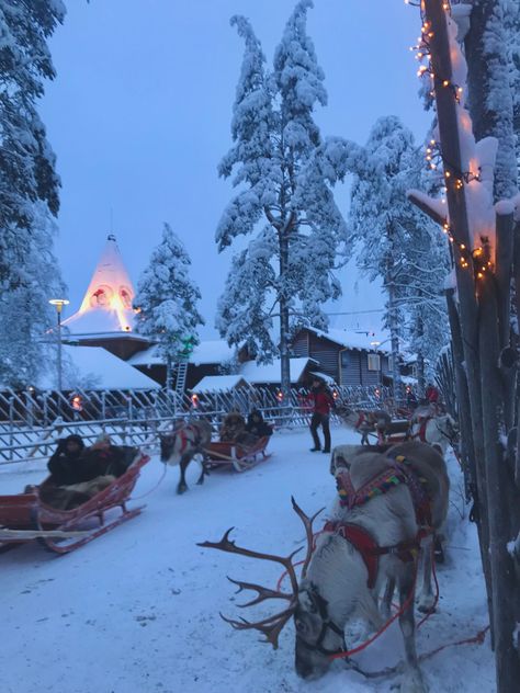 Finland Rovaniemi, Rovaniemi Aesthetic, Travel Winter, Finland Holiday, Christmas Inspo Pics, Lapland Christmas, Finland Christmas, Lapland Aesthetic, Lapland Skiing