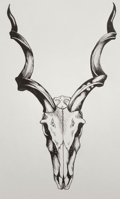 Antelope Skull Drawing, Capricorn Horns Drawing, Gazelle Skull Tattoo, Kudu Skull Tattoo, Pronghorn Skull Tattoo, Horned Skull Tattoo, Antelope Skull Tattoo, Capricorn Skull Tattoo, Demonic Tattoos For Men