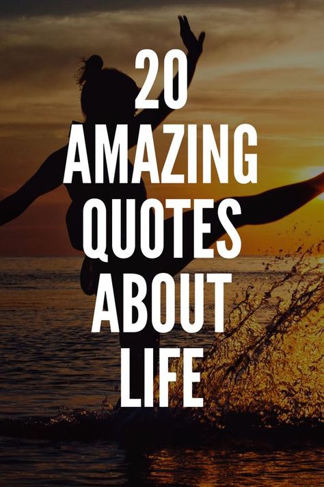 Amazing Life Quotes, Lou Holtz Quotes, Epic One Liners, Quotes Amazing, Inspirational Poetry, Provoking Quotes, One Liners, Bear Quote, Reading Quotes