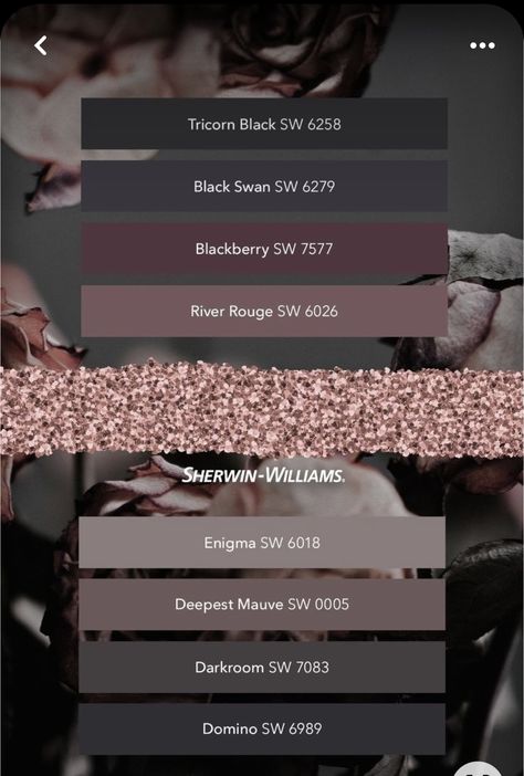 Mauve And Black Bathroom, Sw Cocoa Berry, Black Swan Sherwin Williams, Blackberry Sherwin Williams, Mauve Complimentary Colors, Moody Fig Paint Magnolia, Blackberry Paint, Dark Gray Color Palette, Witchy Color Palette