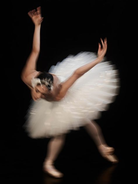 Swan Lake Ballet, Australian Ballet, Ballet Beauty, Ballet Inspiration, Swan Queen, Swan Song, White Swan, In Another Life, Wow Art