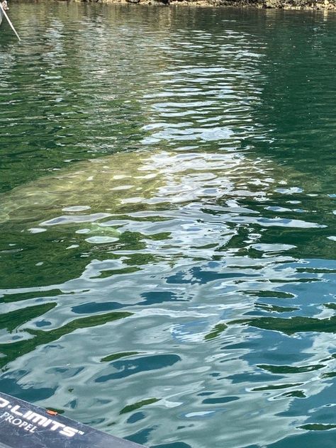 Rivercore Aesthetic, River Paintings, Water Png, River Aesthetic, Water Photos, Art For Walls, Aesthetic Water, Nature River, Walls Art