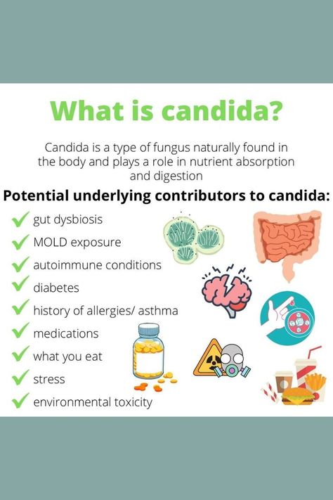 Candida Overgrowth Remedies, Candida Overgrowth Symptoms, Candida Cleanse Diet, Candida Recipes, Candida Cleanse, Mold Exposure, Candida Overgrowth, Week Diet Plan, Holistic Diet