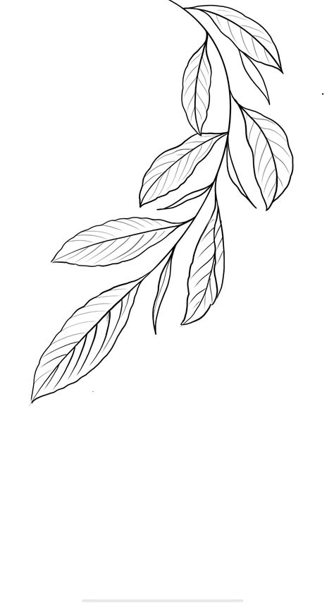 Line Art Drawings Plants, Simple Leaves Drawing, Leaf Branch Tattoo, Line Leaf Drawing, Easy Leaf Drawing, Wish Tattoo, Line Drawing Leaves, Leaf Tattoo Design, Line Art Leaf