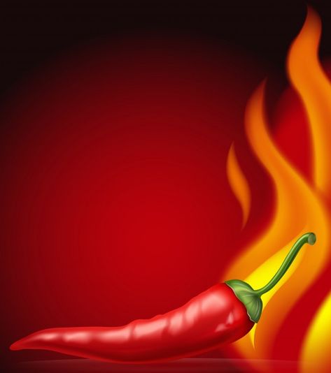 Hot chili with burning fire Premium Vect... | Premium Vector #Freepik #vector #background #food #design #texture Spices Vector, Homemade Recipe Books, Types Of Herbs, Word Patterns, Burning Fire, Creative Brochure, Free Vector Illustration, Chili Paste, Leaf Drawing