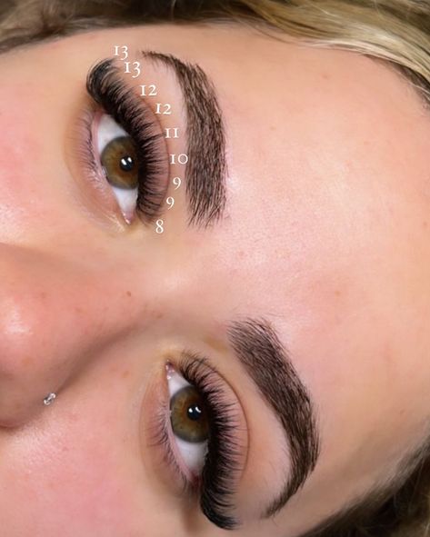 CD curl 8-13numbers volume cat eye 😻 #lashes #lashesextension #lashartist #qerpikegolem #qerpike #qerpikeextension Lash Extension Inspo Volume, 10d Lash Extensions, Short Cat Eye Lash Extensions Volume, Lashes Volume Cat Eye, Lashes With Numbers, Lashes Numbers, Volume Cat Eye Mapping, Cat Eye Volume Lashes, Whisky Cat Eye Lash Extensions