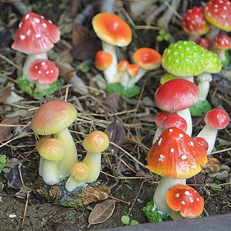 Mushroom Resin, Mushroom Vegetable, Fairy Garden Miniatures, Terrarium Figurines, Orange Mushroom, Mini Mushroom, Succulent Gardens, Dish Garden, Terrarium Diy