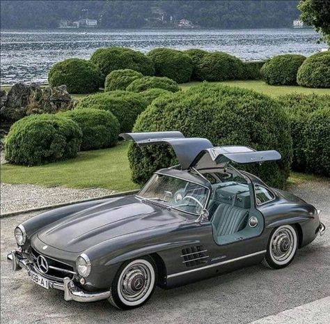 Mercedes-Benz Maybach Fans on Instagram: “No doubt: 1954 Mercedes-Benz 300 SL is the most beautiful classic car in the world. 🦅 _____________________ #mercedesbenz #mercedesamg…” Mercedes Gla 250, Mercedes Classic Cars, Maybach Mercedes, Gla 250, Kereta Sport, Mercedes Auto, Mercedes Gla, Old Mercedes, Vintage Auto's