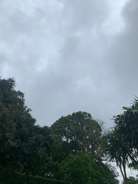 It was a beautiful rainy day in KZN South Africa 🤍i take alot of pictures of the sky Gods Window South Africa, Pictures Of The Sky, South African Landscapes, Beautiful Rainy Day, Sun City South Africa, Nature's Valley South Africa, South African Sunset, Sky Pictures, Rainy Day