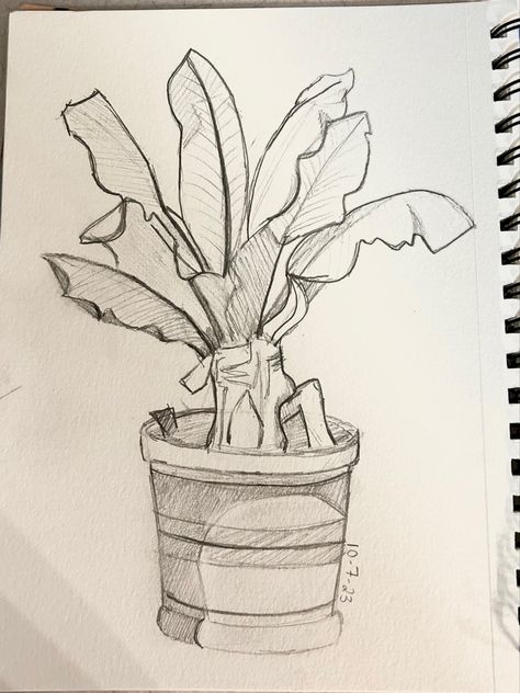 Art drawing sketch plant doodle aesthetic artist pencil Plant Sketch, Plant Drawings, Waiting For The Bus, Plant Sketches, Nature Studies, Nature Sketch, Architecture Drawing Art, Plant Drawing, Arte Sketchbook