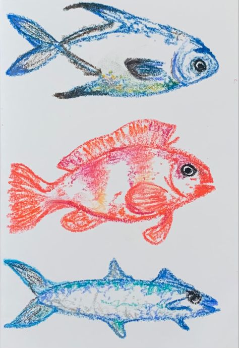 Oil Pastel Sea Animals, Fish Oil Pastel Drawing, Fish Sketch Drawing, Fish Oil Pastel, Pastel Fish, Coral Drawing, Fish Sketch, Oil Pastel Drawings Easy, Watercolor Portrait Painting