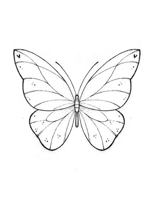 Butterfly Ideas Drawing, Butterfly Pattern Drawing, Butterfly Drawings Easy, Unique Butterfly Drawing, Butterfly Wing Drawing, Butterflies To Draw, Butterfly Drawing Tattoo, How To Draw A Butterfly, Drawing Of Butterflies