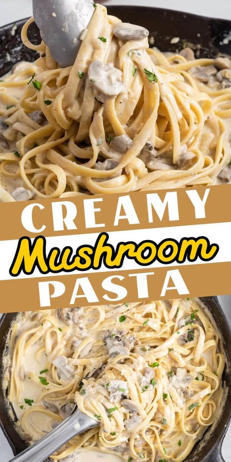 Linguine With Creamy Mushroom Sauce, Mushroom Linguine Creamy, Pasta Dishes Meatless, Creamy Mushroom Zucchini Pasta, Easy Mushroom Sauce For Pasta, Easy Recipes With Cream Of Mushroom Soup, One Pot Pasta Mushroom, Alfredo Pasta With Mushrooms, Mushroom Noodle Bake