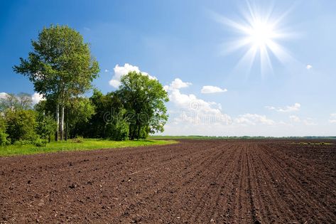 Farm land field. Agriculture plowed field. Farm land #Sponsored , #PAID, #SPONSORED, #land, #Agriculture, #field, #Farm Plowed Field, Farm View, Agriculture Land, Agriculture Photography, Certificate Layout, Bear Drink, Farm Land, Grass Background, Agricultural Land