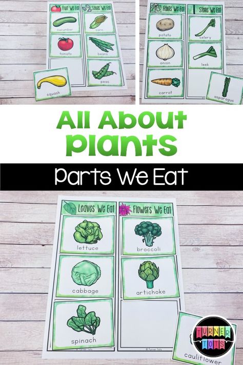 Plants We Eat Activities, Plants We Eat Preschool, Plant Parts We Eat, Vegetable Science Preschool, Garden Lesson Plans For Preschool, Plant Theme Preschool, Parts Of A Plant Preschool, Preschool Snowflakes, Plant Science Activities