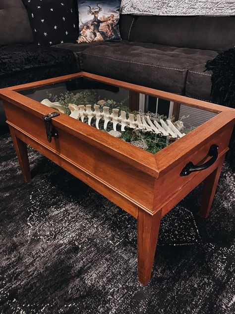 Oddities Living Room, Gothic Coffee Table, Succulents Terrarium, Terrarium Table, Shadow Box Table, Shadow Box Coffee Table, Box Coffee Table, Oddities Decor, Display Coffee Table