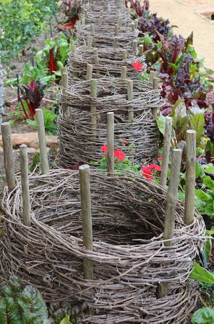 Garden Structures, Kebun Herbal, Taman Diy, Potager Garden, Garden Vines, The Suburbs, Garden Bed, Rustic Gardens, Veggie Garden