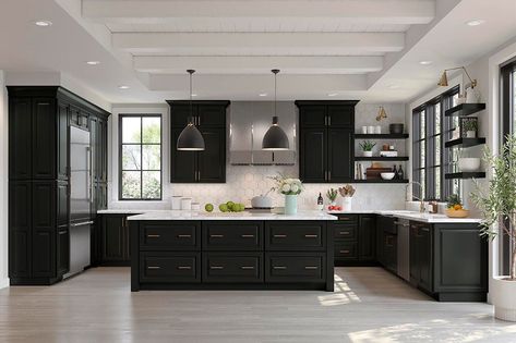 : Explore our wide range of black kitchen cabinet options, from modern to traditional styles. #kitchencabinets #blackcabinets Black Shaker Cabinets, All Black Kitchen, Kitchen Cabinet Samples, Maple Kitchen Cabinets, Maple Kitchen, Black Kitchen Island, Right Decision, Black Kitchen Cabinets, Painted Kitchen