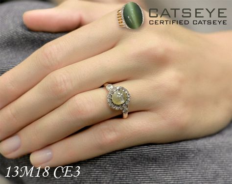 Define your style by adorning this gorgeous cats eye stone ring @ https://shop.catseye.org.in/ Cats Eye Ring Design, Cat Eye Stone Ring, Cat Eye Jewelry, Cat Eye Stone, Cats Eye Ring, Define Your Style, Gold Necklace Indian, Gold Necklace Indian Bridal Jewelry, Necklace Indian