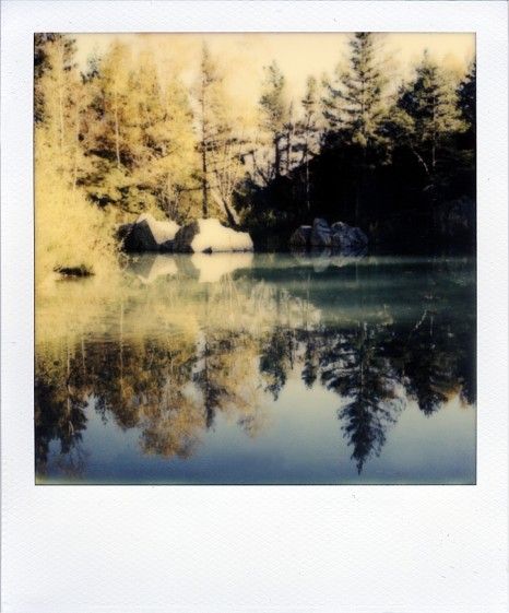 polaroid Polaroid Pictures Nature, Nature Polaroids, Old Polaroid Pictures, Forest Polaroid, Polaroid Landscape, Polaroid Ideas, Polaroid Aesthetic, Beyond The Lights, Picture Nature