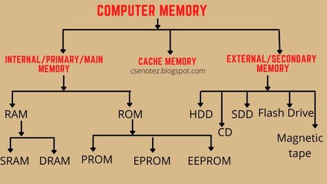 Classification Of Computer, Microsoft Word Lessons, Belly Pictures, Types Of Computer, Read Only Memory, Type Chart, Types Of Memory, Computer Learning, Computer Projects