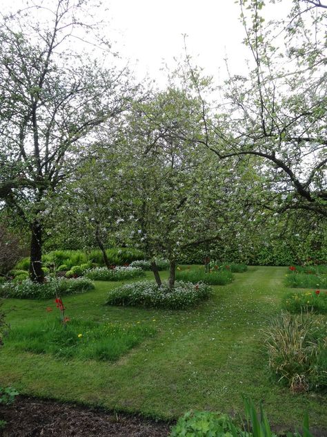 Small Garden Orchard, Fruit Garden Design, Orchard Garden, Meadow Garden, Front Yards, Fruit Garden, Natural Garden, Garden Trees, Veggie Garden