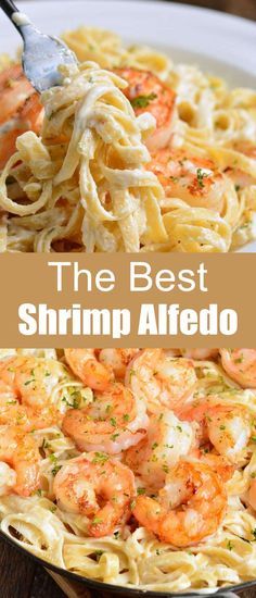 Best Shrimp Alfredo, Pasta Alfredo Receta, Easy Shrimp Alfredo Recipe, Easy Shrimp Alfredo, Shrimp Pasta Recipes Easy, Shrimp Alfredo Recipe, Fettucini Alfredo, Pastas Recipes, Pasta Recipes Alfredo