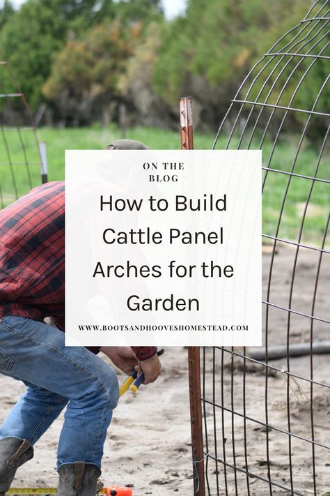 Transform your garden into a stunning oasis and learn how to build a garden arch trellis — simply. This easy diy cattle panel archway is a simple project that will elevate your vegetable garden that doesn’t take much time! You’ll have a simple diy arch trellis in under 20 minutes! Building an arched trellis with cattle panels and T-posts is a sturdy and practical way to support climbing plants like vines, cucumbers, or tomatoes while adding an attractive architectural element to your garden. Easy Garden Arch Diy, Cattle Panel Arch Trellis, Trellis Cattle Panel, Diy Trellis Archway, Diy Garden Arch Trellis, Diy Arch Trellis, Trellis Garden Ideas, Trellis Diy Garden, Trellis Ideas Diy Climbing Vines