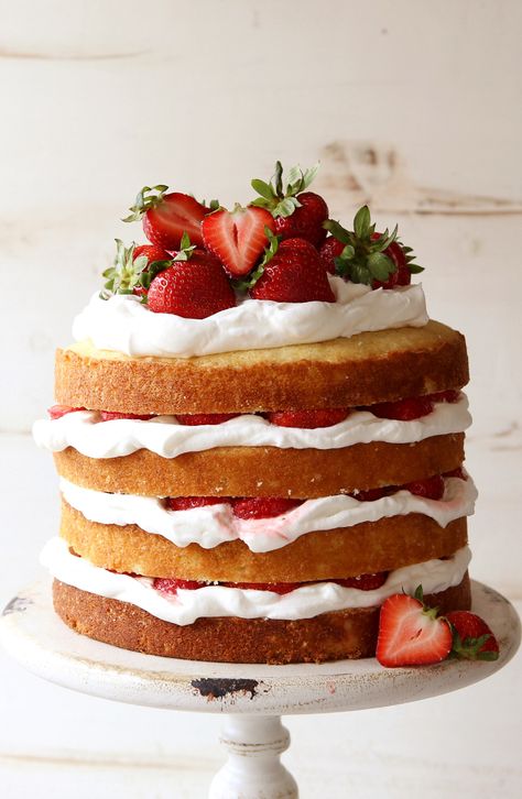 Don’t be intimidated by its beautiful presentation: this Strawberry Shortcake Layer Cake is actually quite easy to assemble. Layered Strawberry Shortcake, Strawberry Shortcake Layer Cake, Shortcake Cake, Strawberry Shortcake Cake, Dessert Aux Fruits, Brownie Desserts, Oreo Dessert, Strawberry Cakes, Savoury Cake