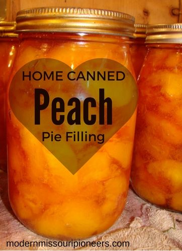 Peach Pie Filling, home canned goodness and convenience.  A step by step how-to. Canned Peach Pie Filling, Canned Peach Pie, Canning Peach Pie Filling, Nectarine Pie, Peach Pie Filling Recipes, Fried Peach Pies, Peach Dumplings, Plum Jam Recipes, Canned Spaghetti Sauce