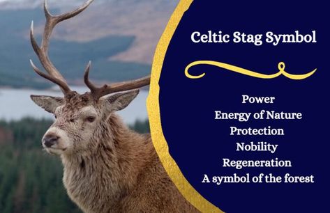 Celtic stag symbolizes power, energy of nature, protection, nobility, regeneration, and a symbol of the forest. #stag #power #nature #forest #symbolsage Stag Symbol, Stag Symbolism, Celtic Stag, Power Magic, Spirit Animal Meaning, Animal Meanings, Like Symbol, Symbol Of Power, Celtic Symbol