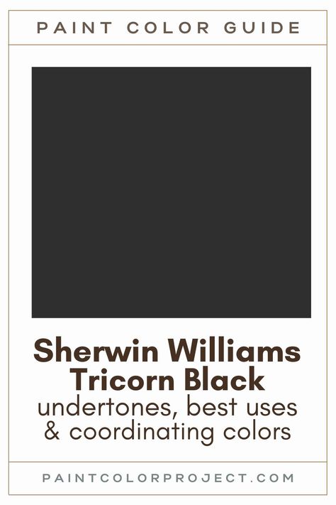 Eider White And Tricorn Black, Tricorn Sherwin Williams Exterior, Paint Trim Black, Sherwin Williams Paint Colors Black, Black Interior Ideas, Tricorn Black Sherwin Williams Color Palette, Sherman Williams Black Paint, Black Trim Paint Color, Antique Black Paint Color