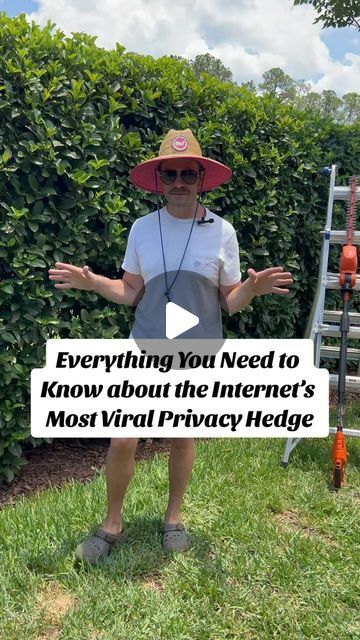 Kyle Williams on Instagram: "🌿✨ The MOST Viral Privacy Hedge on the Internet✨🌿  Yall loved my last video about my privacy hedge here’s everything you need to know about this internet sensation! 🍃The variety I am growing is the Sweet Viburnum, and it’s perfect for creating a lush, green barrier in your yard. 🏡💚 If you’re in Northeast Florida (Zone 9), here’s how you can grow this beauty for some serious privacy:  1. Choose the Right Spot: Sweet Viburnum loves full sun to partial shade. Pick a spot that gets at least 4-6 hours of sunlight daily. 🌞   2. Soil Prep: Ensure the soil is well-draining. Mix in some compost or organic matter to enrich the soil. Viburnum isn’t too fussy, but it thrives in slightly acidic to neutral pH levels. 🌱  3. Planting Time: The best time to plant is in t Silver Sheen Hedge, Backyard Privacy Hedge, Privacy Hedge Ideas Front Yard, Sweet Viburnum Hedge Privacy Screens, Willow Hybrid Tree Privacy Hedge, Front Yard Hedge Ideas, Sweet Viburnum Hedge, Low Hedges Landscaping, Iron Fence Privacy Ideas